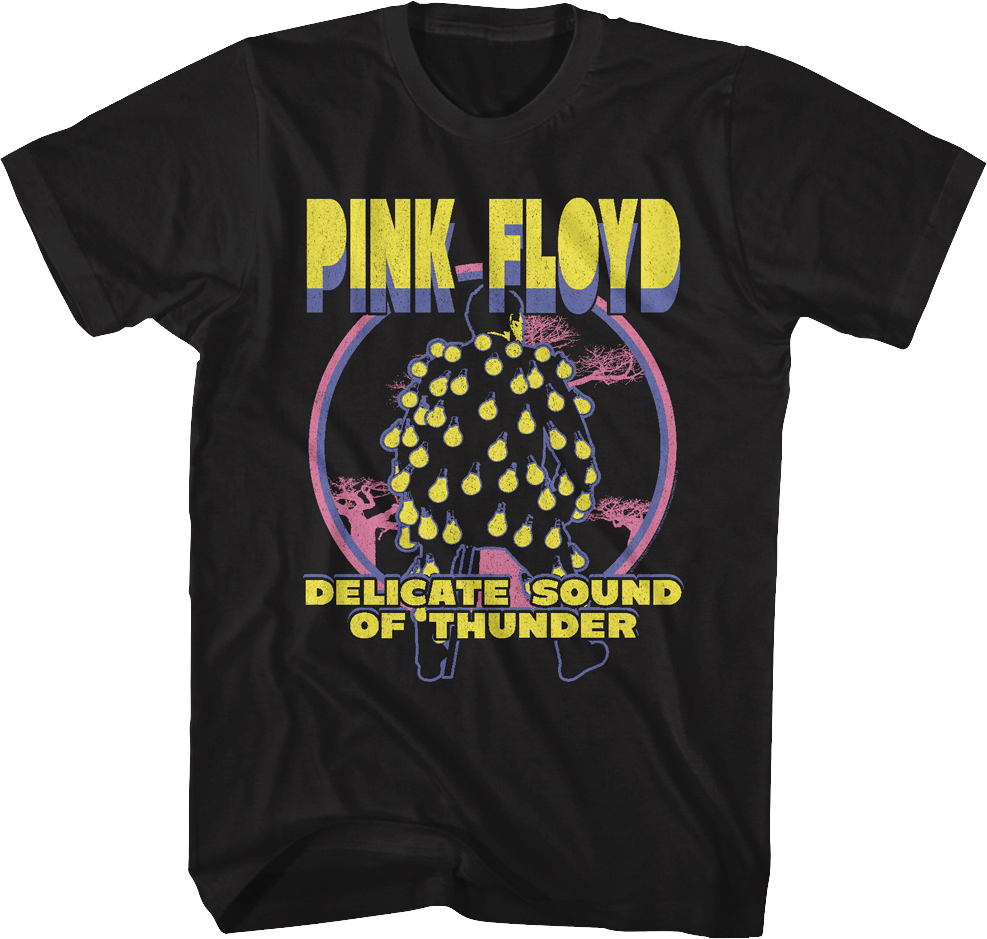 Delicate Sound Of Thunder Pink Floyd T-Shirt