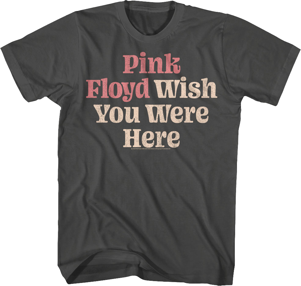 Distressed Wish You Were Here Pink Floyd T-Shirt