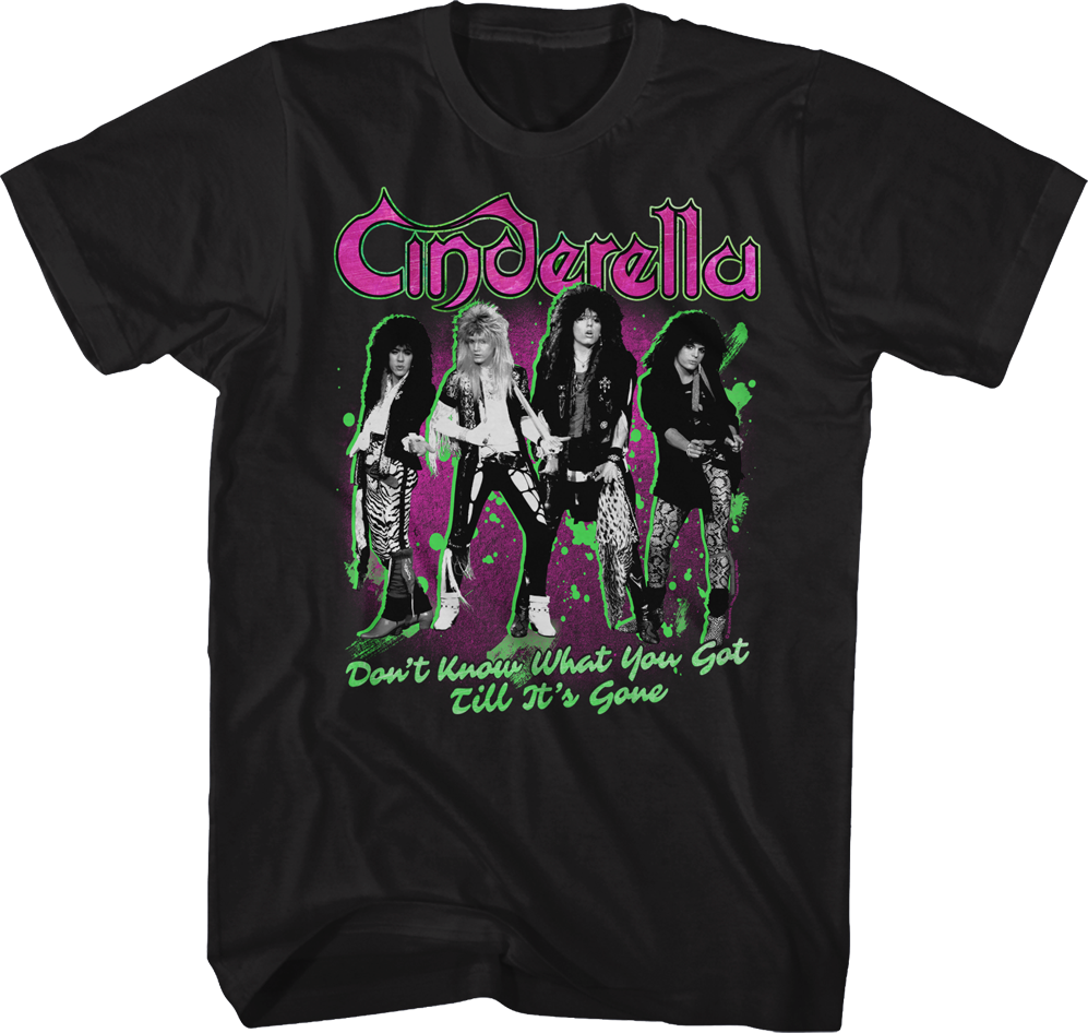 Don't Know What You Got Till It's Gone Cinderella T-Shirt