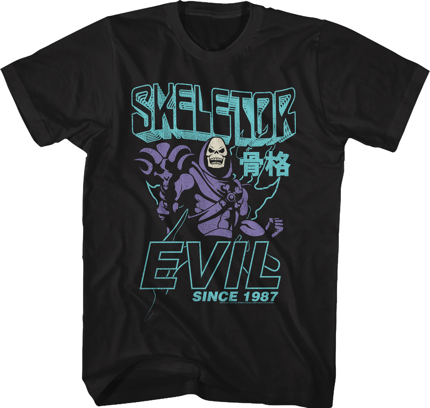 Skeletor Evil Since 1987 Masters of the Universe T-Shirt