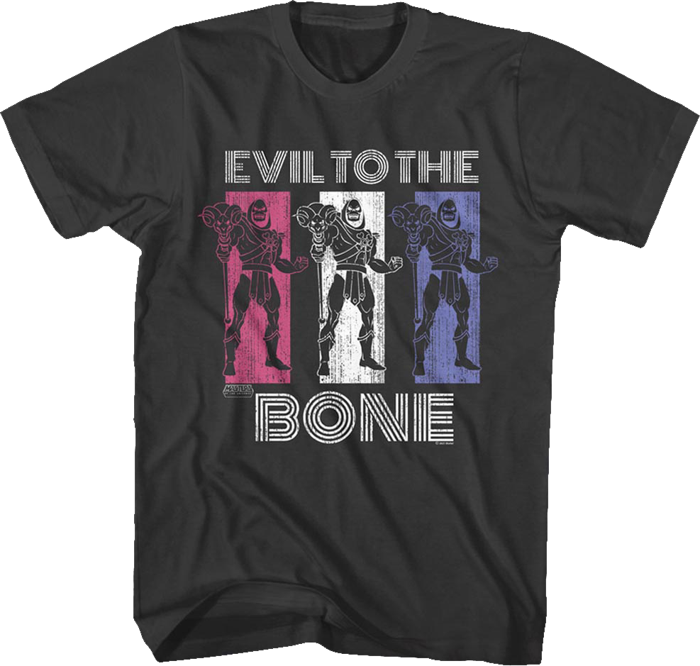 Skeletor Evil to the Bone Masters of the Universe T-Shirt