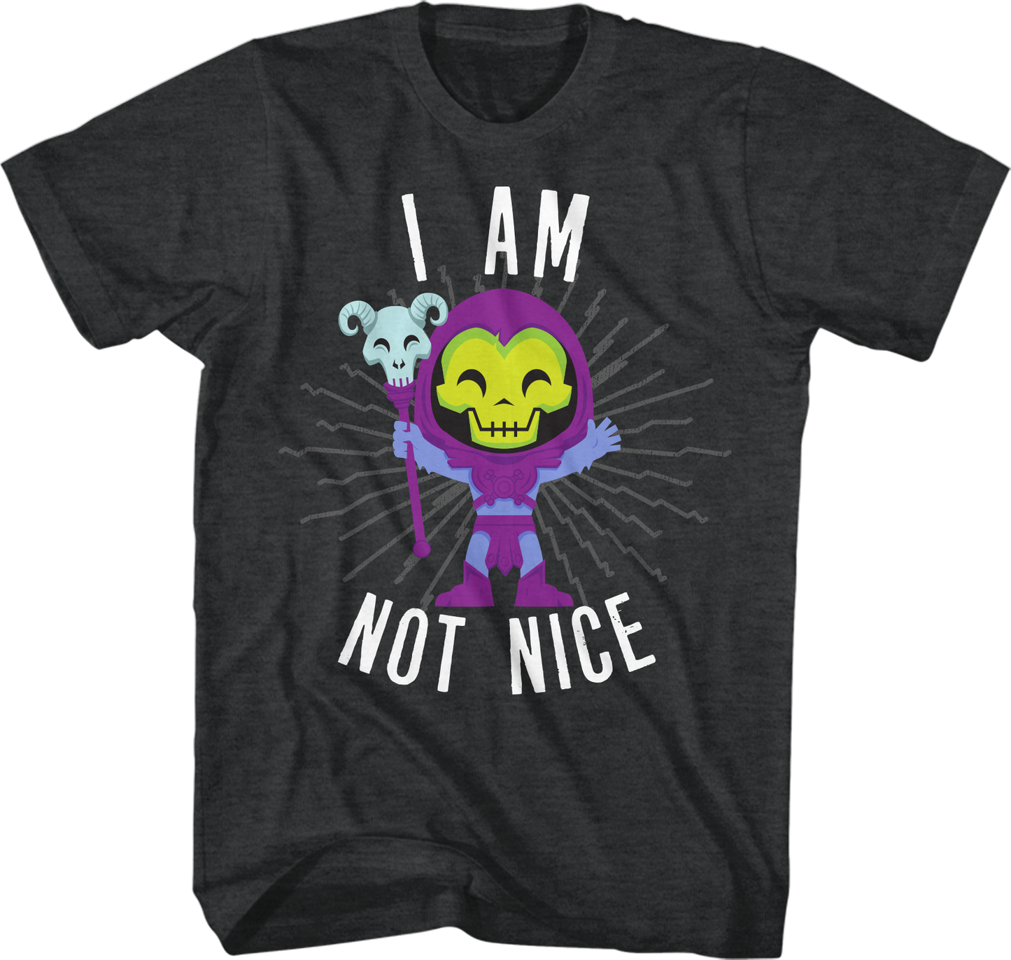 Skeletor I Am Not Nice Masters of the Universe T-Shirt