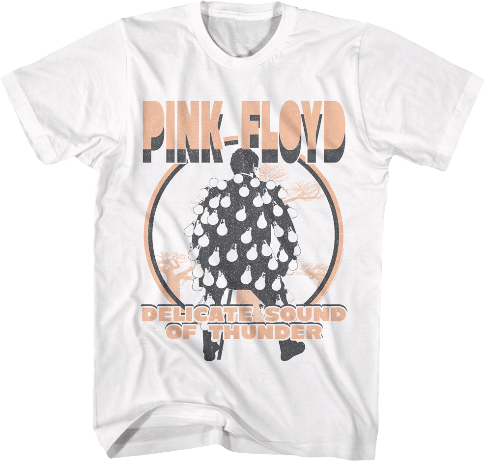 Vintage Delicate Sound Of Thunder Pink Floyd T-Shirt